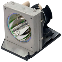 ACER EC.J4401.001 Lampa s modulom