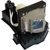 ACER EC.J5400.001 Lampa s modulom