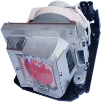 ACER EC.J9900.001 Lampa s modulom