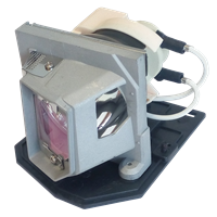 ACER EC.K0100.001 Lampa s modulom