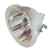 BOXLIGHT 3650E Lampa bez modulu