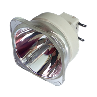 EIKI LC-WB200 Lampa bez modulu