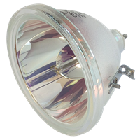 EIKI LC-XGA971E Lampa bez modulu