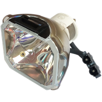 INFOCUS C460 Lampa bez modulu