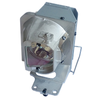 OPTOMA BL-FP220B (SP.78B01GC01) Lampa s modulom