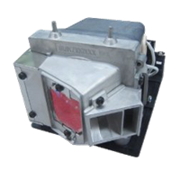 OPTOMA VDHDSS Lampa s modulom