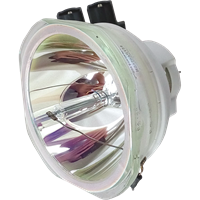 PANASONIC PT-DW830ULW (portrait) Lampa bez modulu