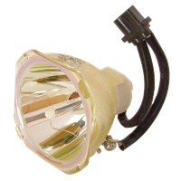 PANASONIC PT-LB56 Lampa bez modulu