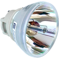 PHILIPS-UHP 240/170W 0.8 E20.7 Lampa bez modulu