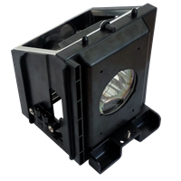 SAMSUNG HL-R4667WX/XAP Lampa s modulom