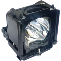 SAMSUNG HL-S5065WX/XAA Lampa s modulom