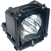 SAMSUNG PT-50DL24 Lampa s modulom