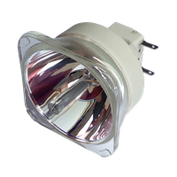 SANYO PLC-WU3001 Lampa bez modulu