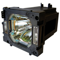SANYO PLC-XP100 Lampa s modulom
