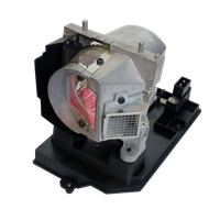 TRIUMPH BOARD PJ250-W Lampa s modulom