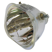 VIEWSONIC RLC-009 Lampa bez modulu